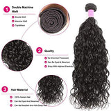 10a Brazilian Virgin Human Hair Water Wave Human Hair 3 Bundles with 4x4 Lace Closure Unprocessed Virgin Human Hair Weave Extensions Natural Color